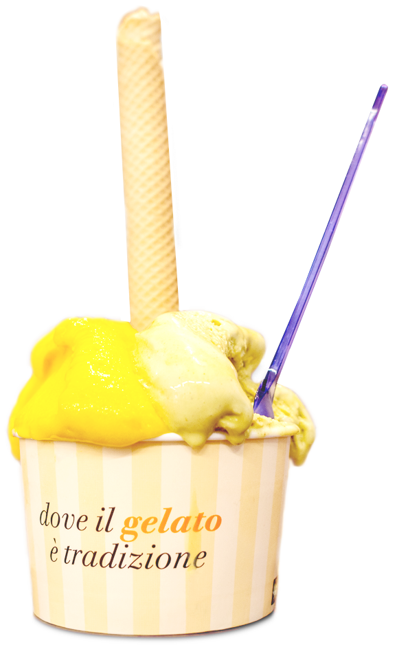 Coppetta gelato gelateria fassi