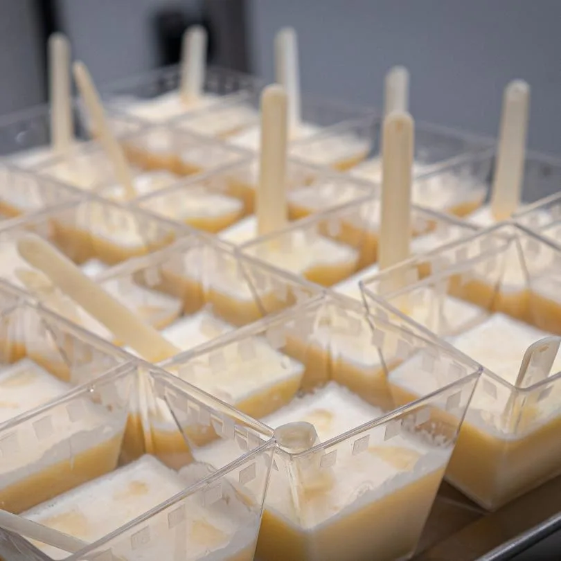 Cena gelato: Il buono, il brutto, il cattivo e il piacere degli assaggi - immagine 5